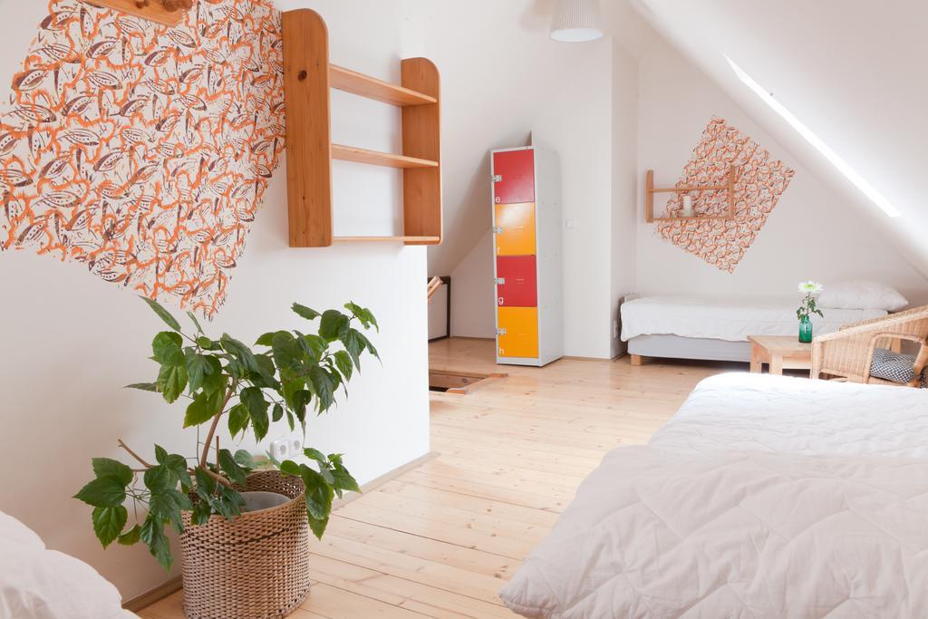 Hostel Arpacay Backpackers *